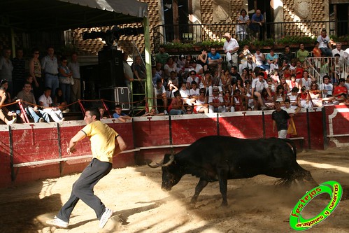 Cadreita (Navarra) 22-07-2009 Ganaderia el "Pincha" Lodosa (Navarra) 3761138655_20d8b7b73f