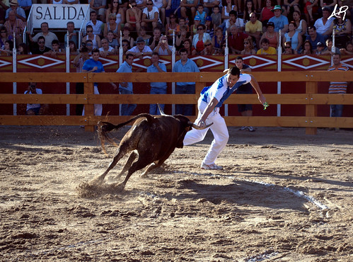 Quinto (Zaragoza) 19.7.2009 "III Concurso de Recortadores y Roscaderos" (Ganaderías Hnos. Oliva Escudero, Hnos. Ozcoz y Hnos. Marcén) 3746639316_f586bdff6f