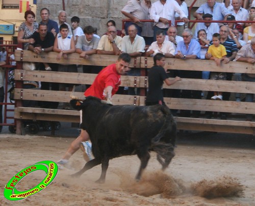 Mallen (Zaragoza) 10-09-2009 ganaderia Hnos. Vela (Mallen) 3923705392_b9dbdece60