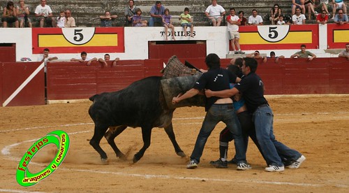 Concurso de roscaderos Ejea de los Caballeros (Zaragoza) 27-06-2009 ganaderia Pedro Dominguez (Funes, Navarra) 3678923615_daef5859c2