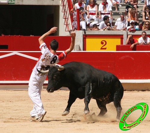 Pamplona (Navarra) 11-07-2009 toros de Marques de Albaserrada (GERENA, SEVILLA) 3720420062_058d98d2ac