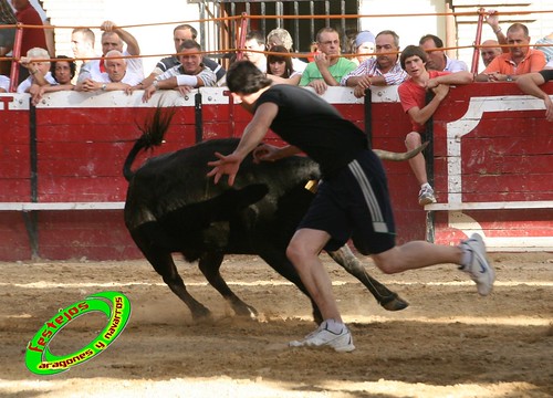 Cadreita (Navarra) 22-07-2009 Ganaderia el "Pincha" Lodosa (Navarra) 3761931620_7135b57bc4