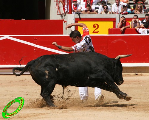 Pamplona (Navarra) 11-07-2009 toros de Marques de Albaserrada (GERENA, SEVILLA) 3720331464_bdb9fd2022