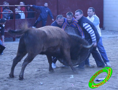 Grisen (Zaragoza) 7- 11- 2009 ganaderia Jose Luis Cuartero (Pradilla de Ebro, Zaragoza) 4096755042_f5d45a8587