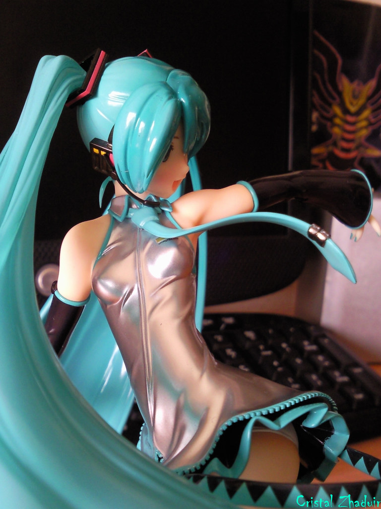 [Review] Miku Hatsune Tony Taka ver. (Max Factory) 5792149550_e40c2f5c92_b