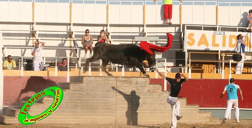 Villamayor (Zaragoza)   9-9-2009 Ganaderia Hnos Murillo (Tauste) 3920414428_44b4fb1fb3