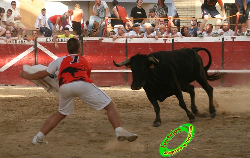 Cadreita (Navarra) 22-07-2009 Ganaderia el "Pincha" Lodosa (Navarra) 3762080706_2e98f013b9