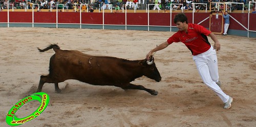 Borja (Zaragoza) 19-09-2009 Concurso de recortadores con anillas, ganaderia Hnos Ozcoz (Fuente de Ebro, Zaragoza) 3944158415_977bccb4d9