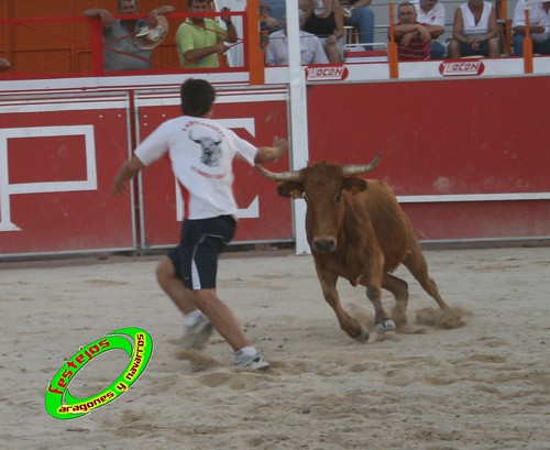 Villanueva de Gallego (Zaragoza) 6-08-2009 Ganaderia Hnos. Marcen 3797311933_5a795daa63