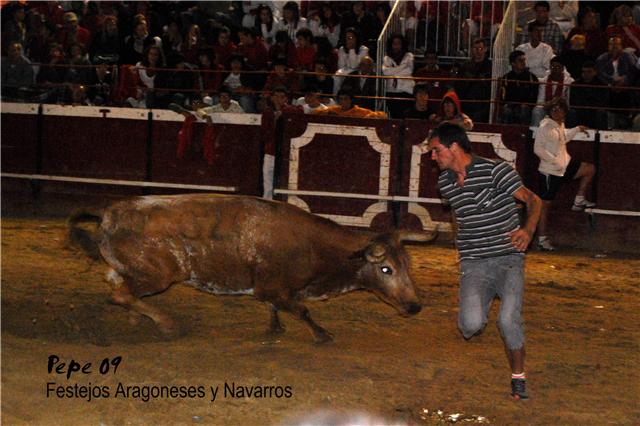 Cadreita (Navarra) 18-07-2009 noche Ganaderia de Enrique Dominguez (Funes, Navarra) 3741515257_d63c4b927b_o