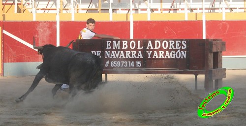 Villamayor (Zaragoza)   9-9-2009 Ganaderia Hnos Murillo (Tauste) 3919621317_37995af954