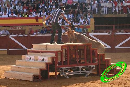 Tudela (Navarra) 26-07-2009 Ganaderia Ustarroz (Arguerdas, Navarra) 3765617331_b5e24d02b8