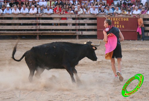 Mallen (Zaragoza) 8-09-2009 ganaderia Hnos. Vela (Mallen) 3905970759_1b216e65a2