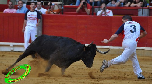 Concurso de recortadores con anillas de Zaragoza, ganaderias Hnos. Ozcoz (Fuentes de Ebro, Zaragoza) y D. Jesus Marcen (Villanueva de Gallego, Zaragoza) 4031750834_09ff66b869