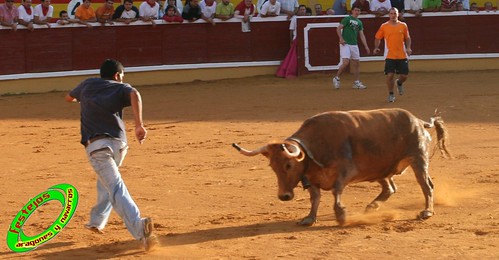 Tudela (Navarra) 26-07-2009 Ganaderia Ustarroz (Arguerdas, Navarra) 3765608069_02cedbc241