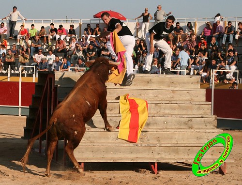 Borja (Zaragoza) desafio de ganaderias Murillo Conde (Tauste, Zaragoza) y Jose Arriazu e hijos (Ablitas, Navarra) 3965164729_b5b67a11dd