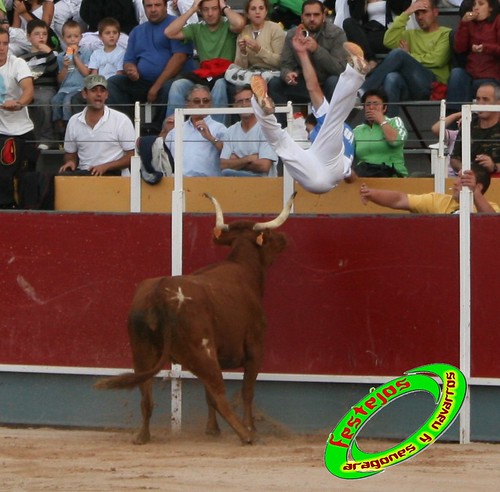 Borja (Zaragoza) 19-09-2009 Concurso de recortadores con anillas, ganaderia Hnos Ozcoz (Fuente de Ebro, Zaragoza) 3943490817_99aa3e2281