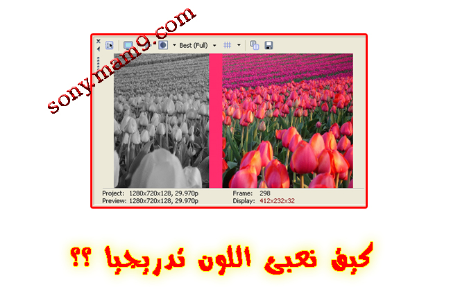 انتقال  رائع من الابيض والأسود الى الألوان 3801305763_a5c0e965f5_o