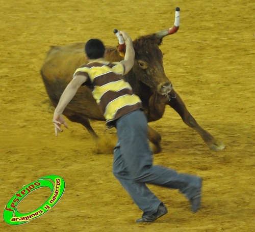 Zaragoza, jueves 15 de Octubre ganaderia  Jose Arriazu e Hijos (Ablitas, Navarra) 4032393484_7af02f4b69