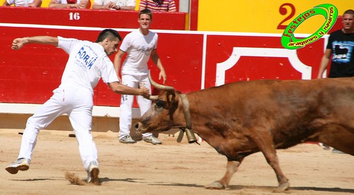 Concurso de recortadores de Pamplona con ganaderias de casta navarra 3723847478_c5892a6c18