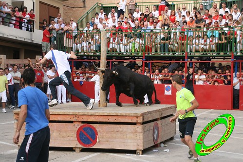 Falces 16-08-09, encierro del pilón, Ganadería Teodoro Vergara 3864309157_e5e3f93e55