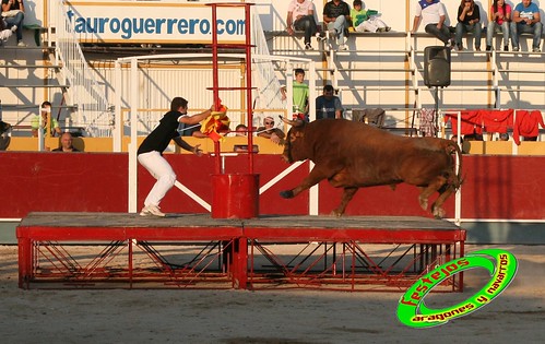 Borja (Zaragoza) desafio de ganaderias Murillo Conde (Tauste, Zaragoza) y Jose Arriazu e hijos (Ablitas, Navarra) 3966058170_206b9d197e