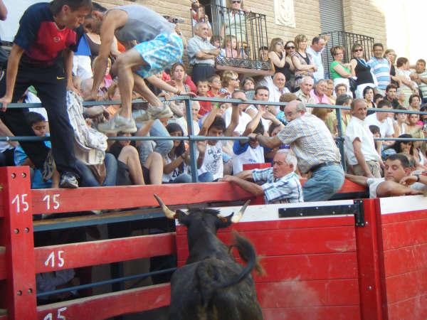 27-6-2009 en Novallas (Zaragoza) ganaderia de Murillo Conde (Tauste) 3696869995_b37093cdb7_o