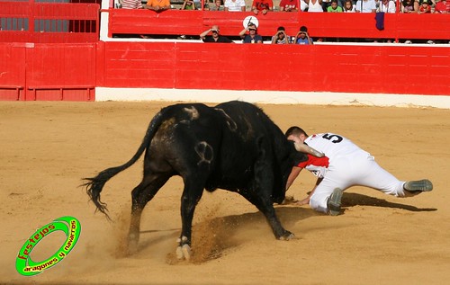 Concurso de cortes en Alfaro (La Rioja) 5-09-2009 toros de Toropasion 3904864386_7095c1acc7