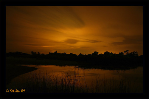 Alcossebre nocturna