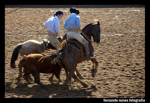 Paleteada Argentina 2009