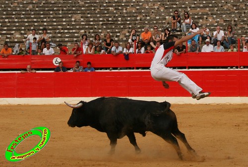 Concurso de cortes en Alfaro (La Rioja) 5-09-2009 toros de Toropasion 3904047401_24e0005d6f