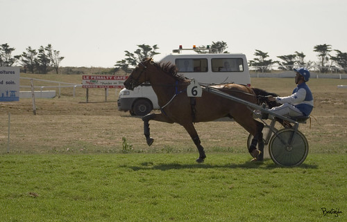 Les Photographes du Radz ! - Page 3 3832132691_8954239df1