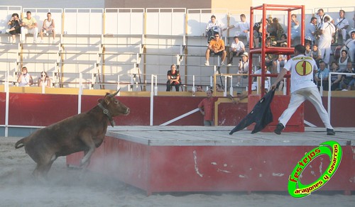 Villamayor (Zaragoza)   9-9-2009 Ganaderia Hnos Murillo (Tauste) 3920459560_4a9544fc93