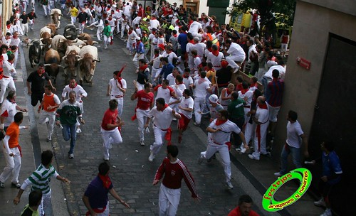 Pamplona (Navarra) 12-07-2009 Encierro de toros de Miura 3715624387_3da6f96212