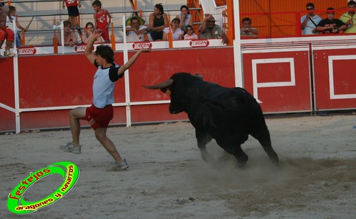 Villanueva de Gallego (Zaragoza) 6-08-2009 Ganaderia Hnos. Marcen 3797375197_880d71f501