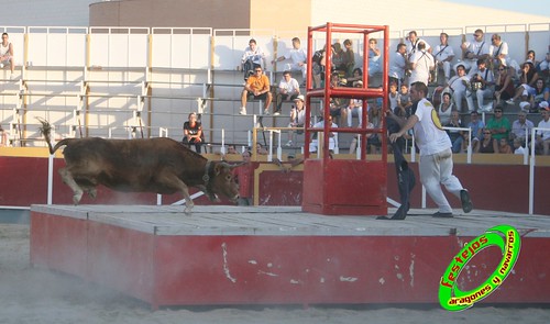 Villamayor (Zaragoza)   9-9-2009 Ganaderia Hnos Murillo (Tauste) 3920461428_d96038c09d