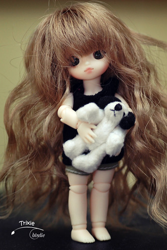 Obitsu wigs, reasonably good fit for tiny BJDs 3837631492_a1df9c7fa0