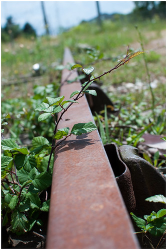 Défi 015 : Des rails dans le paysage - Page 2 3662867712_feba127e05