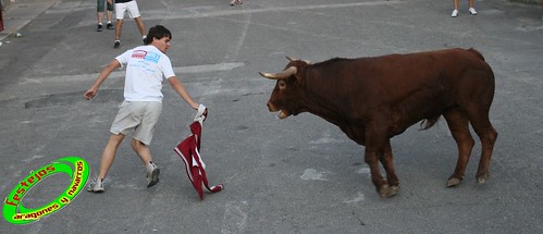 Cortes de Navarra (Navarra) Ganaderia Macua 26-06-2009 3675315285_29944ee875