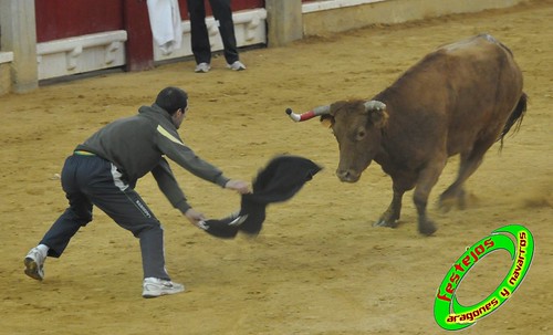 Zaragoza, jueves 15 de Octubre ganaderia  Jose Arriazu e Hijos (Ablitas, Navarra) 4033197580_dfa696c27b