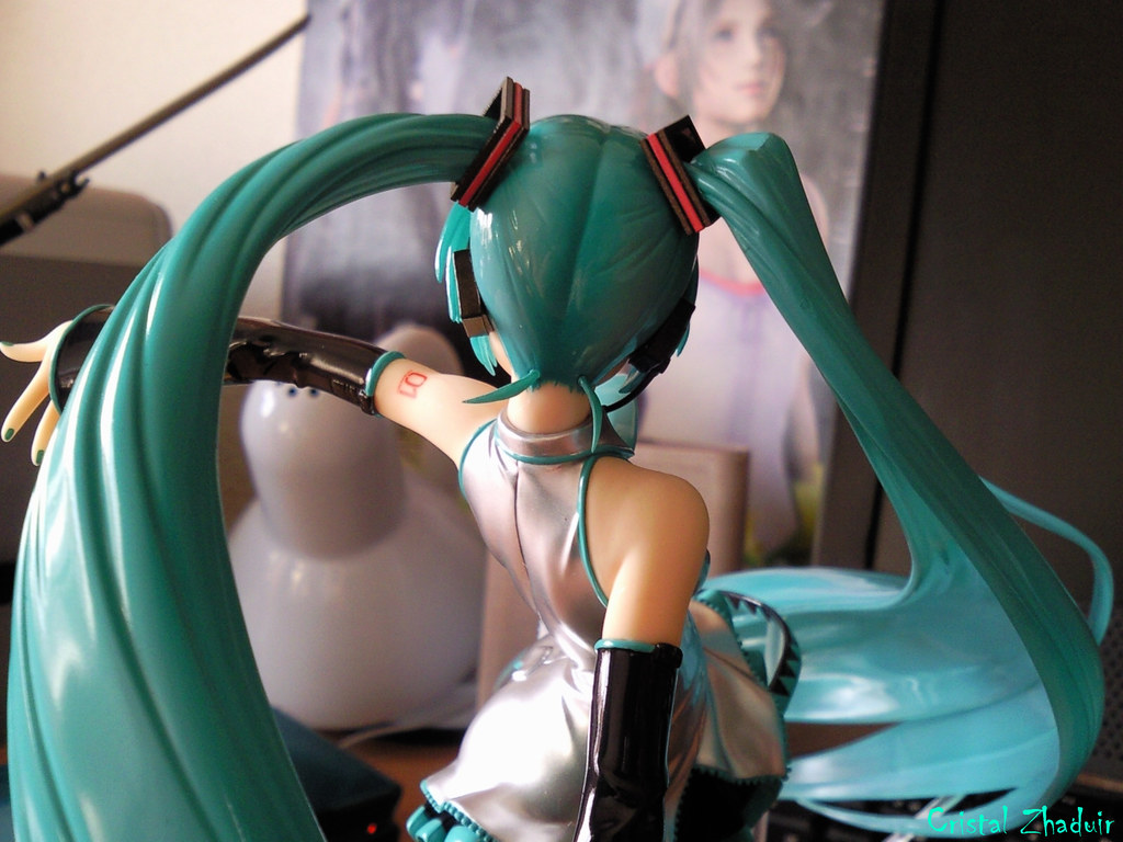 [Review] Miku Hatsune Tony Taka ver. (Max Factory) 5792141990_e22fde076f_b