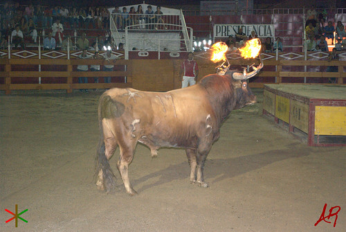 Quinto (Zaragoza) 18.7.2009 Embolado Hnos. Ozcoz y Vacas Hnos. Marcén 3742157885_087bb5eaf4