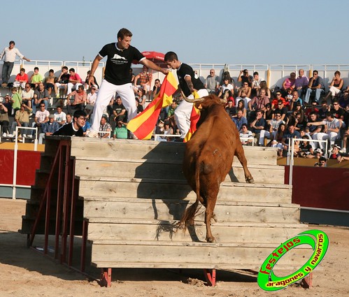 Borja (Zaragoza) desafio de ganaderias Murillo Conde (Tauste, Zaragoza) y Jose Arriazu e hijos (Ablitas, Navarra) 3965922946_56e6597fbe