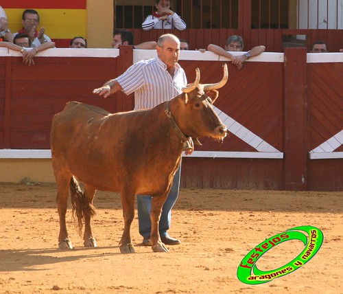 Tudela (Navarra) 26-07-2009 Ganaderia Ustarroz (Arguerdas, Navarra) 3766399362_e222730f61