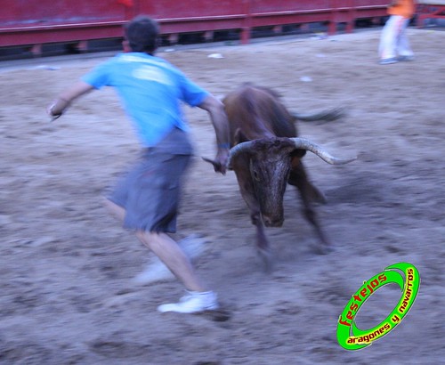 Cabanillas (Navarra) 25-09-2009 ganaderias de Hnos. Magallón (Fustiñana, Navarra) 3969873810_d92e62d846