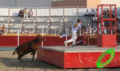 Villamayor (Zaragoza)   9-9-2009 Ganaderia Hnos Murillo (Tauste) 3920373316_93a5dc91a9