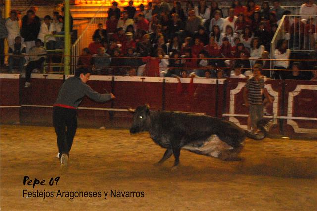 Cadreita (Navarra) 18-07-2009 noche Ganaderia de Enrique Dominguez (Funes, Navarra) 3742308382_5b16c23d48_o