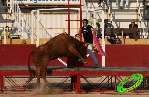 Borja (Zaragoza) desafio de ganaderias Murillo Conde (Tauste, Zaragoza) y Jose Arriazu e hijos (Ablitas, Navarra) 3965109861_0d8b32414b