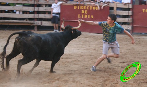 Mallen (Zaragoza) 10-09-2009 ganaderia Hnos. Vela (Mallen) 3923714102_83205f30a3