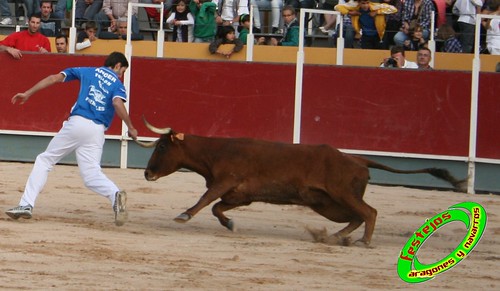 Borja (Zaragoza) 19-09-2009 Concurso de recortadores con anillas, ganaderia Hnos Ozcoz (Fuente de Ebro, Zaragoza) 3944273126_42798cb638